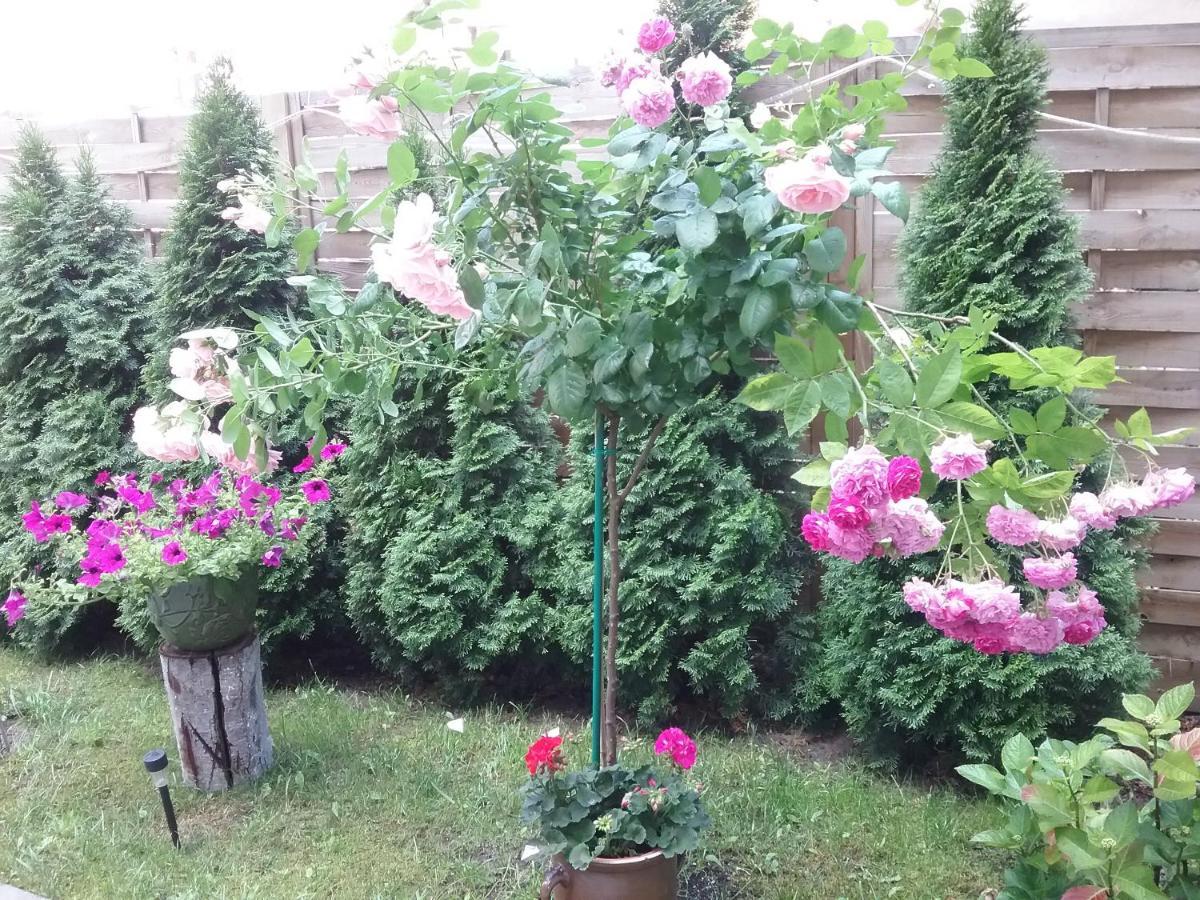 Apartament Stary Toruń 외부 사진